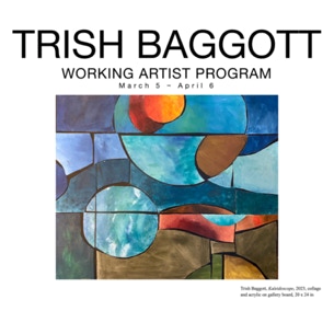 Working Artist Program Trish Baggott