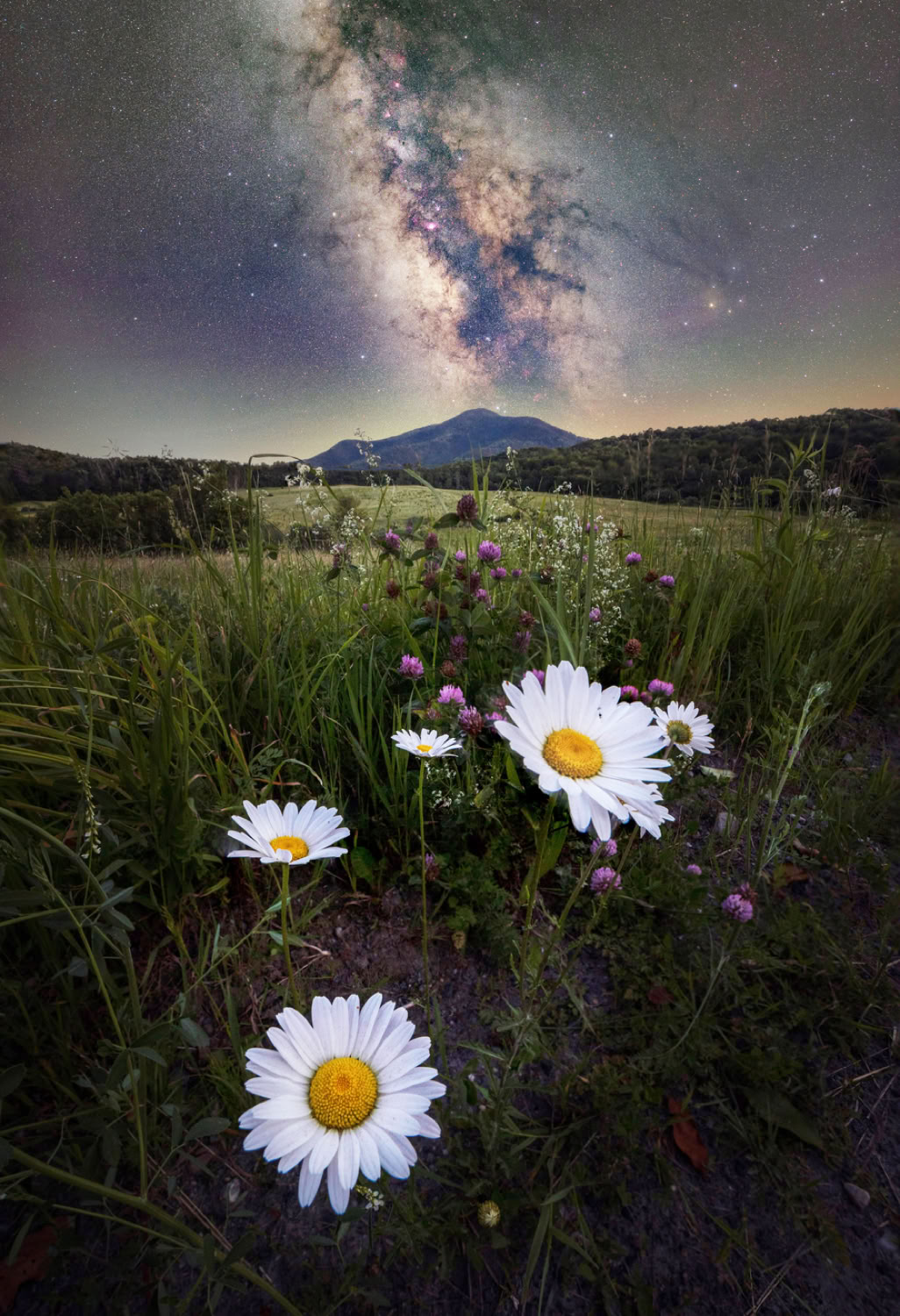 Dorian Sanders Daisy Chain