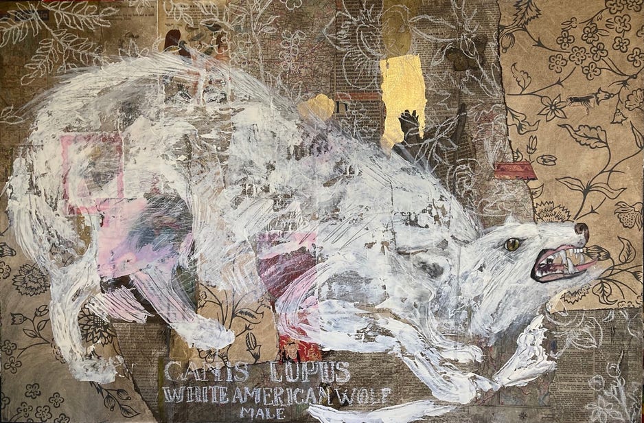 Jeanette Staley White American Wolf 2022 Collage, acrylic and chalk on board 24 x 36 in $3000