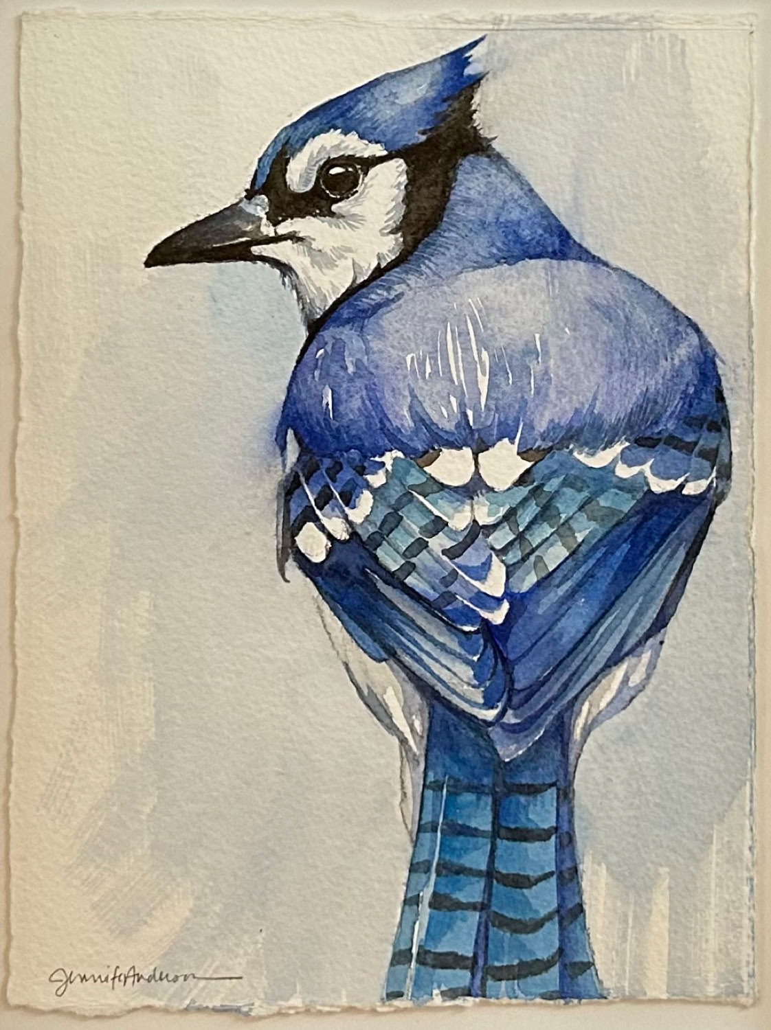 Jennifer L.Anderson Winter Blues (Blue Jay) 