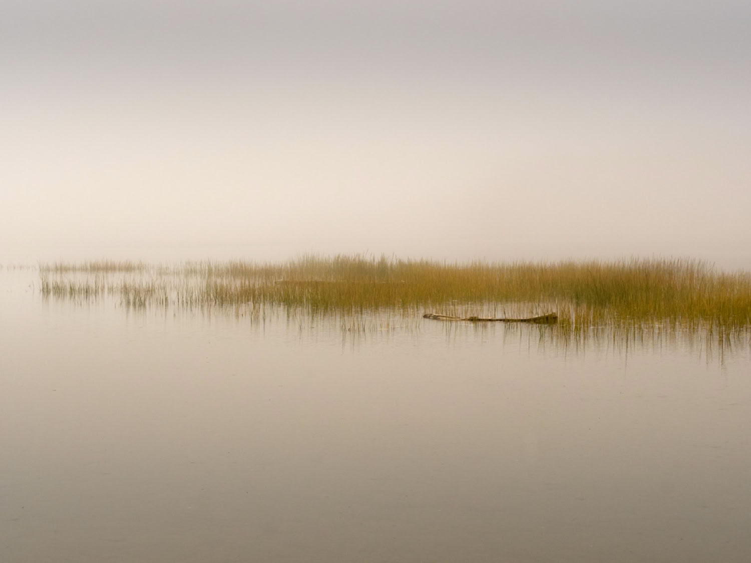 Kathy Carr Solitude 3