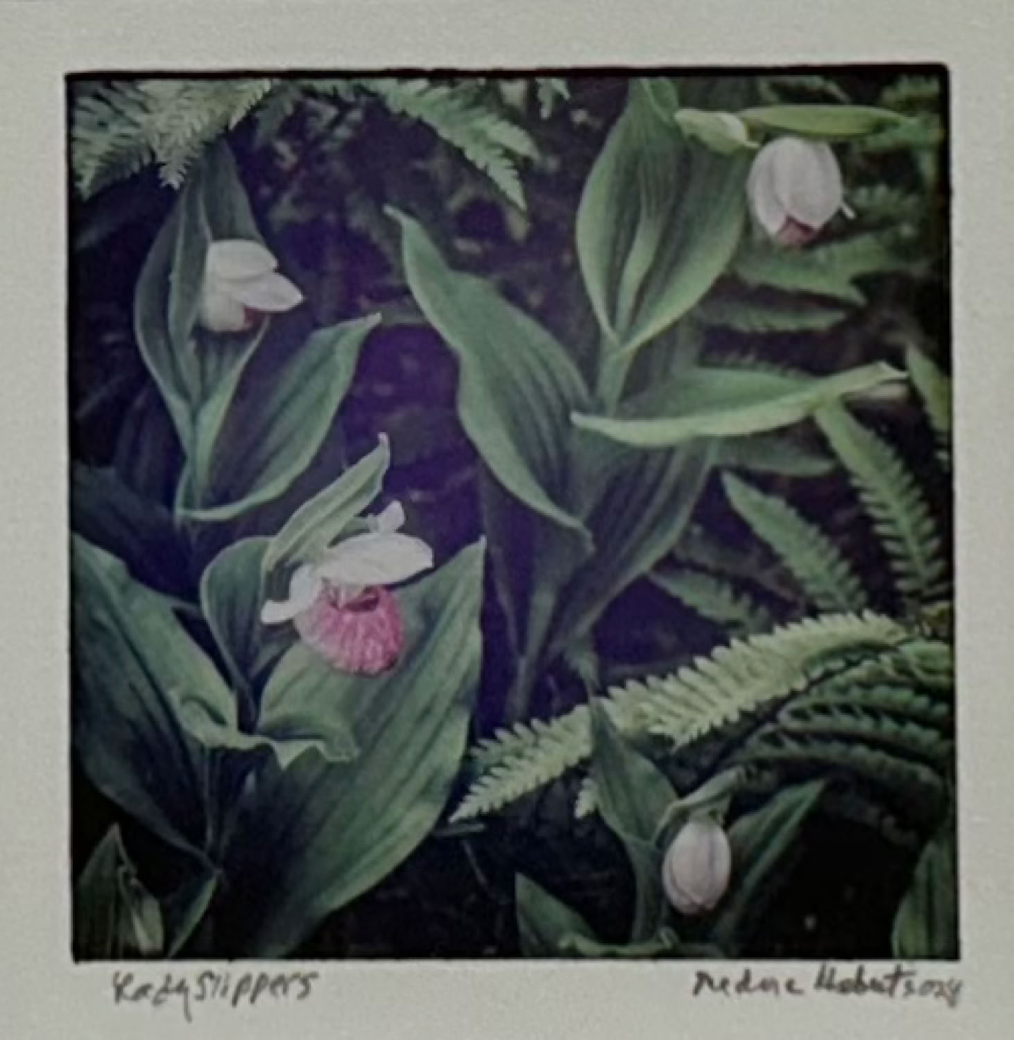 Medora Hebert Lady Slippers 