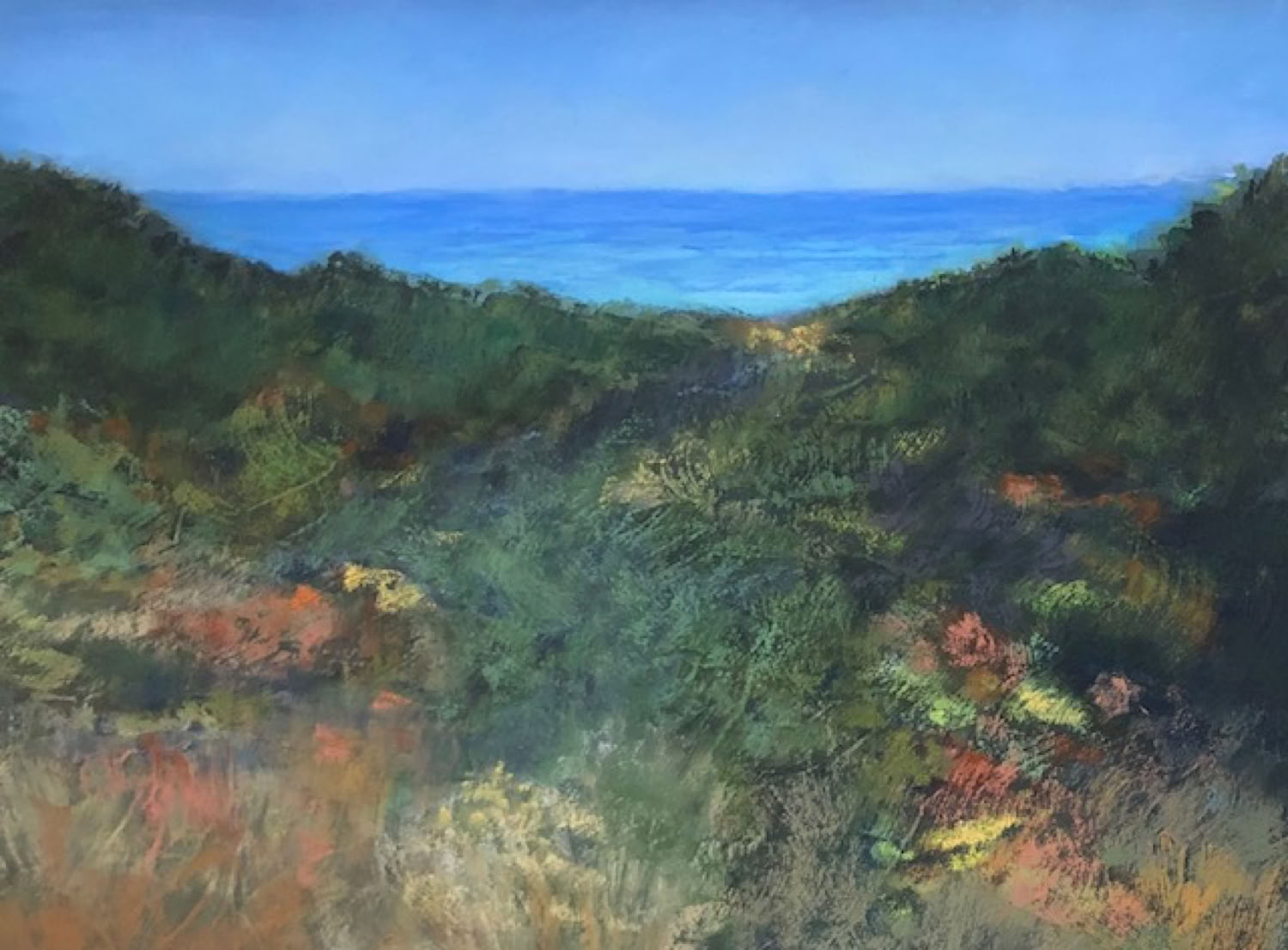 Pat McPike From the Dunes to the Sea