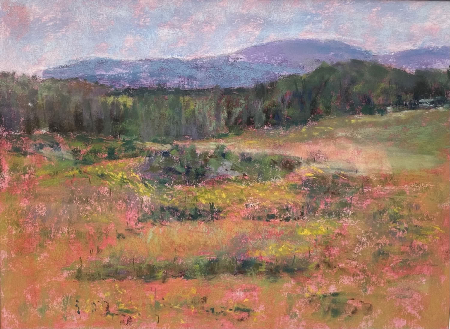 the-view-from-bragg-farm-maggie-smith